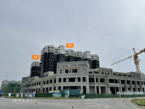 雷电5最新爆料消息视频,揭秘游戏画面与玩法革新  第2张