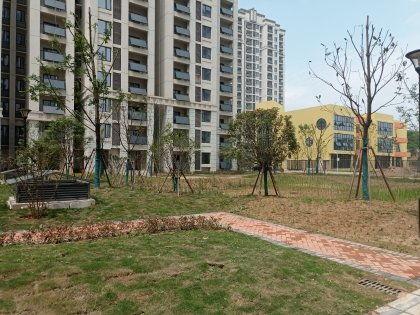 西安白羊佳苑最新爆料消息,揭秘项目进展与周边配套升级  第3张