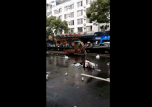 中山车祸最新爆料视频曝光,视频揭露惊人细节 第2张 中山车祸最新爆料视频曝光,视频揭露惊人细节 第2张